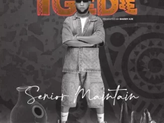 Senior Maintain – Igede