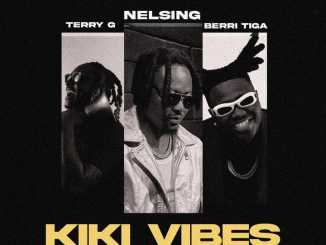 Terry G ft Nelsing & Berri Tiga – Kiki Vibes (Remix)