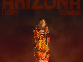 Arizona lyrics by Lojay ft Olamide