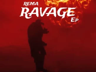 Red Potion lyrics by Rema