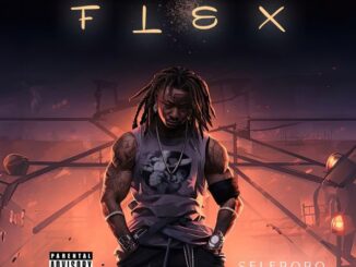 Flex Lyrics by Selebobo