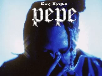 Pepe lyrics by Boy Spyce