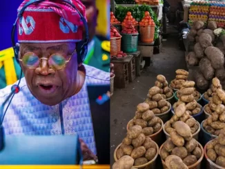 FG considers importing food if protests continue and hunger persists.