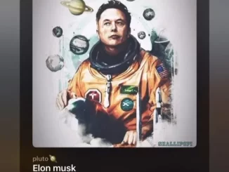 Elon Musk Lyrics by Shallipopi