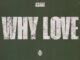 Asake – Why Love